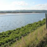 Décoder l'influence du Shoreline Master Program sur la gestion durable des zones côtières